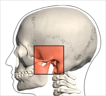 temporomandibular eklem kasları